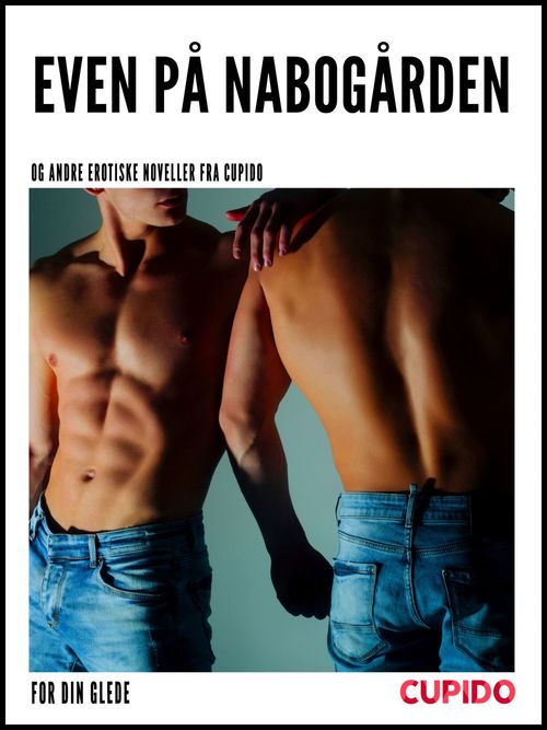 ebook cover of Even på nabogården - og andre erotiske noveller fra Cupido, by Cupido
