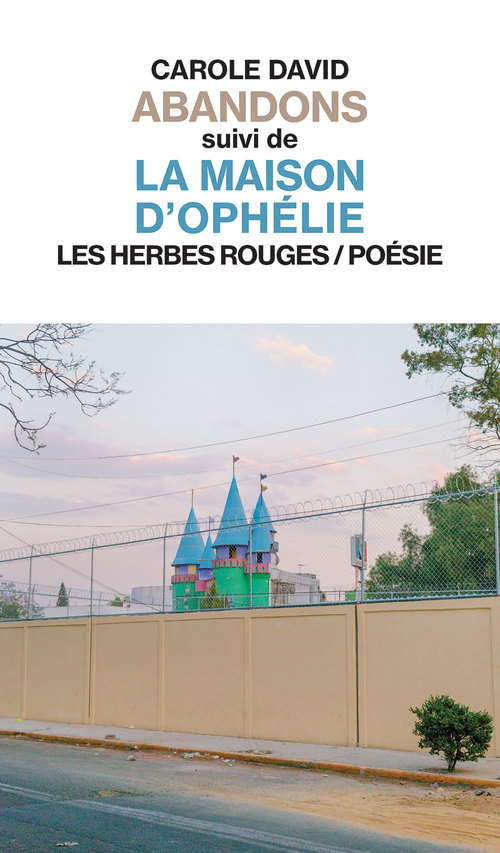 Couverture ebook de Abandons suivi de La maison d'Ophélie, de Carole David