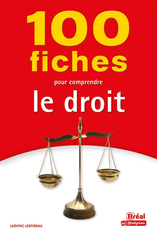 ebook cover of 100 fiches pour comprendre le droit, by Ludovic Lestideau