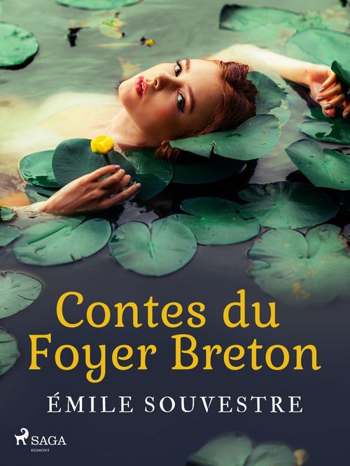 ebook cover of Contes du Foyer Breton, by Emile Souvestre