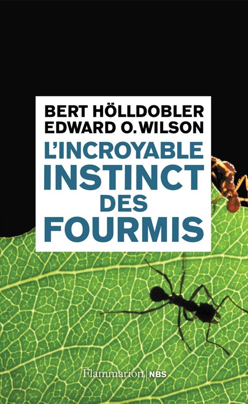 ebook cover of L'incroyable instinct des fourmis, by Bert Holldobler, Edward osborne Wilson