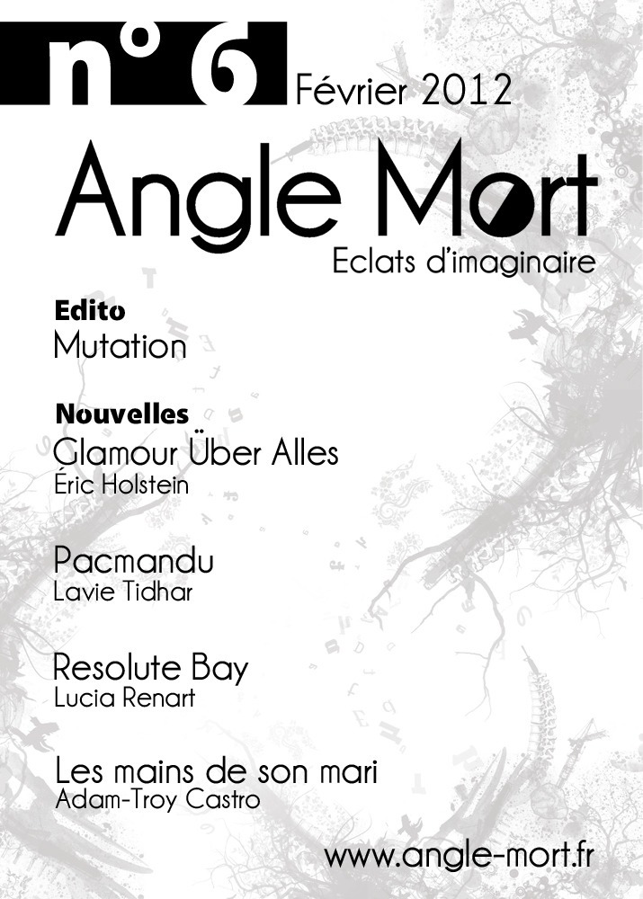 ebook cover of Angle Mort numéro 6, by Revue Angle Mort