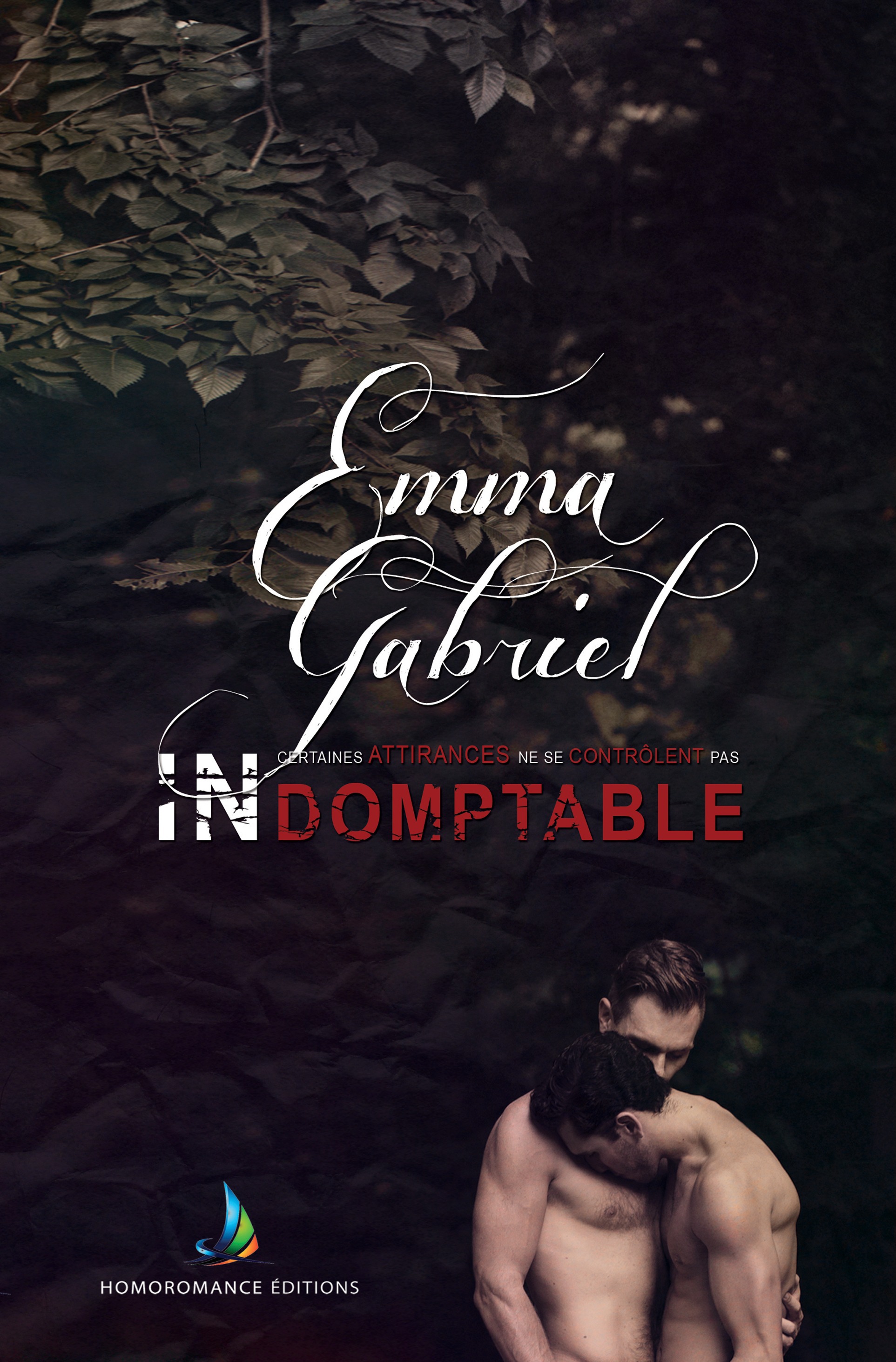 Couverture ebook de Indomptable | Romance Gay, Livre Gay, MxM - Slow burn, Ice King, de Emma Gabriel