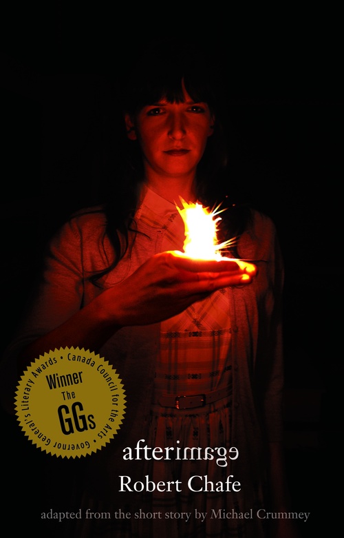 ebook cover of Afterimage, by Robert Chafe