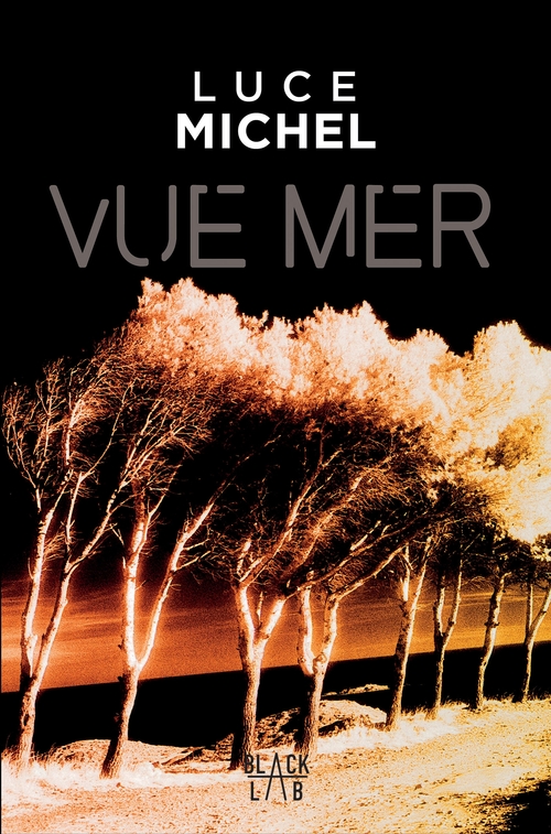 Couverture ebook de Vue mer, de Luce Michel
