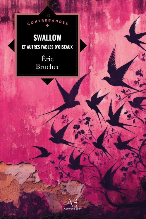ebook cover of Swallow, by Eric Brucher