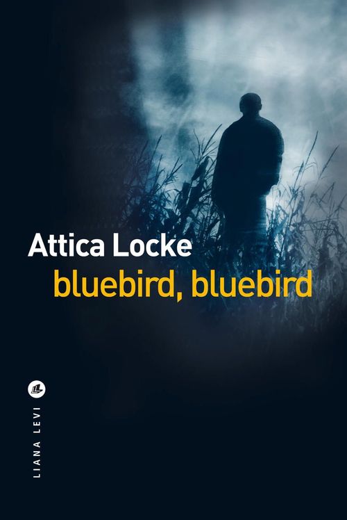 Couverture ebook de Bluebird, Bluebird, de Attica Locke