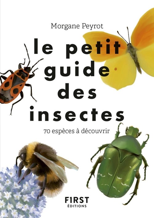 ebook cover of Le Petit guide des insectes - 70 espèces à découvrir, by Lise Herzog, Morgane Peyrot