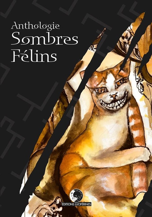 Couverture ebook de Sombres Félins, de Collectif