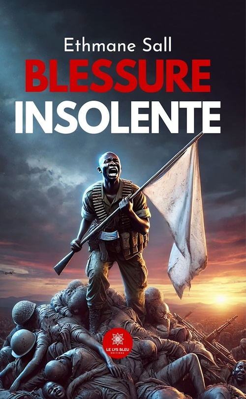 ebook cover of Blessure insolente, by Ethmane Sall
