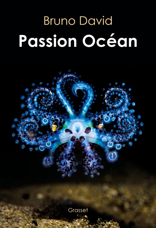 ebook cover of Passion océan, by Bruno David