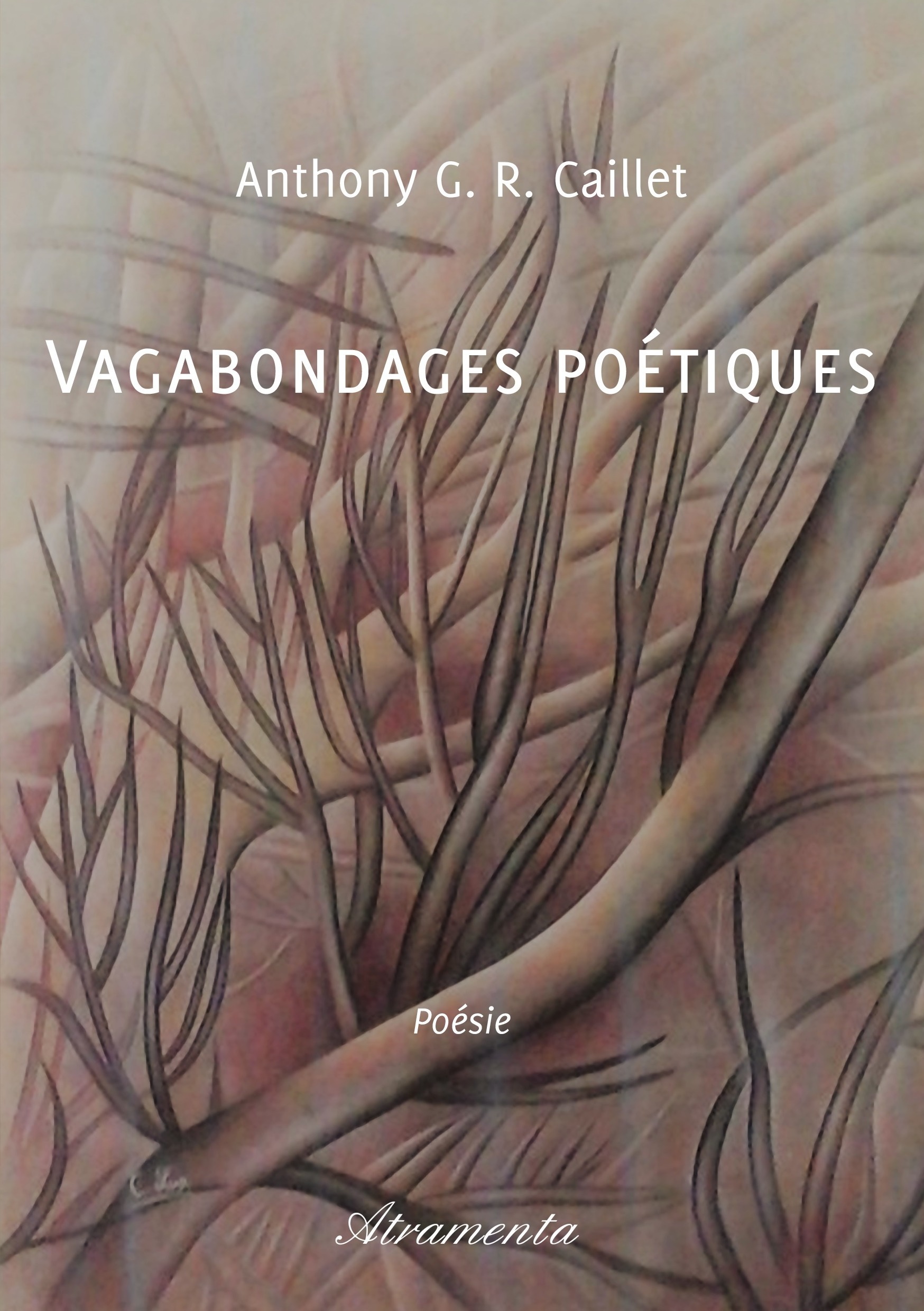 Couverture ebook de Vagabondages poétiques, de Anthony G. R. Caillet