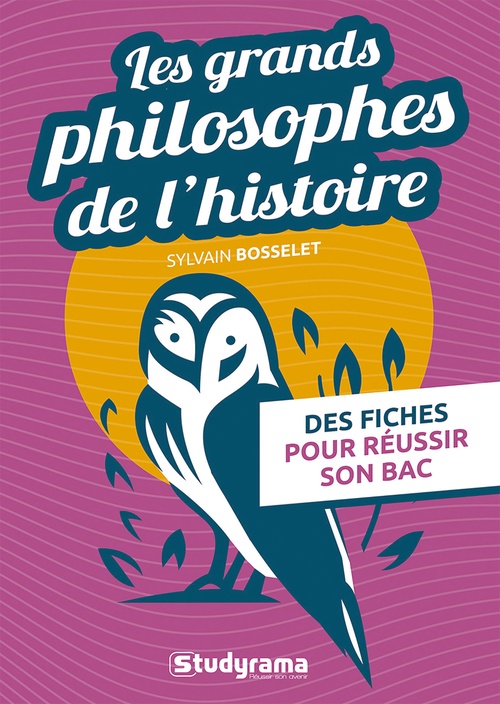 ebook cover of Les grands philosophes de l'histoire : Des fiches pour réussir son bac, by Sylvain Bosselet