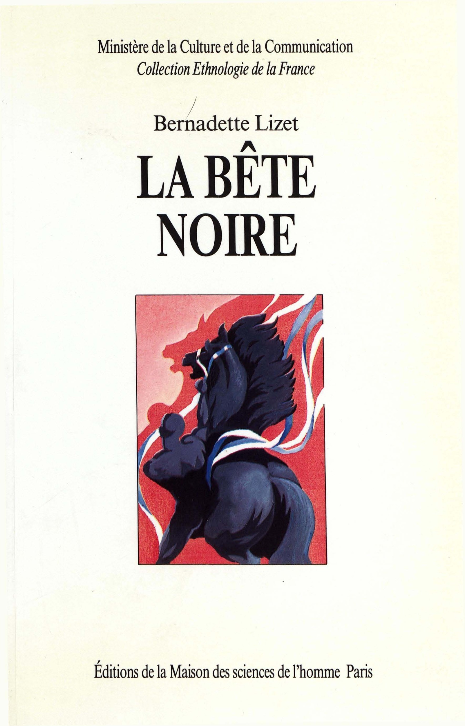 Couverture ebook de La bête noire, de Bernadette Lizet