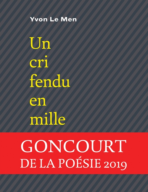 ebook cover of Un cri fendu en mille, by Yvon Le Men