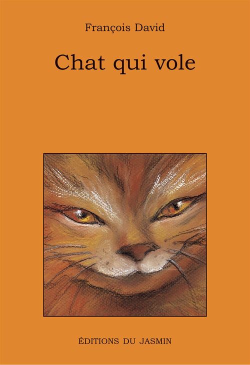 ebook cover of Chat qui vole, by François David