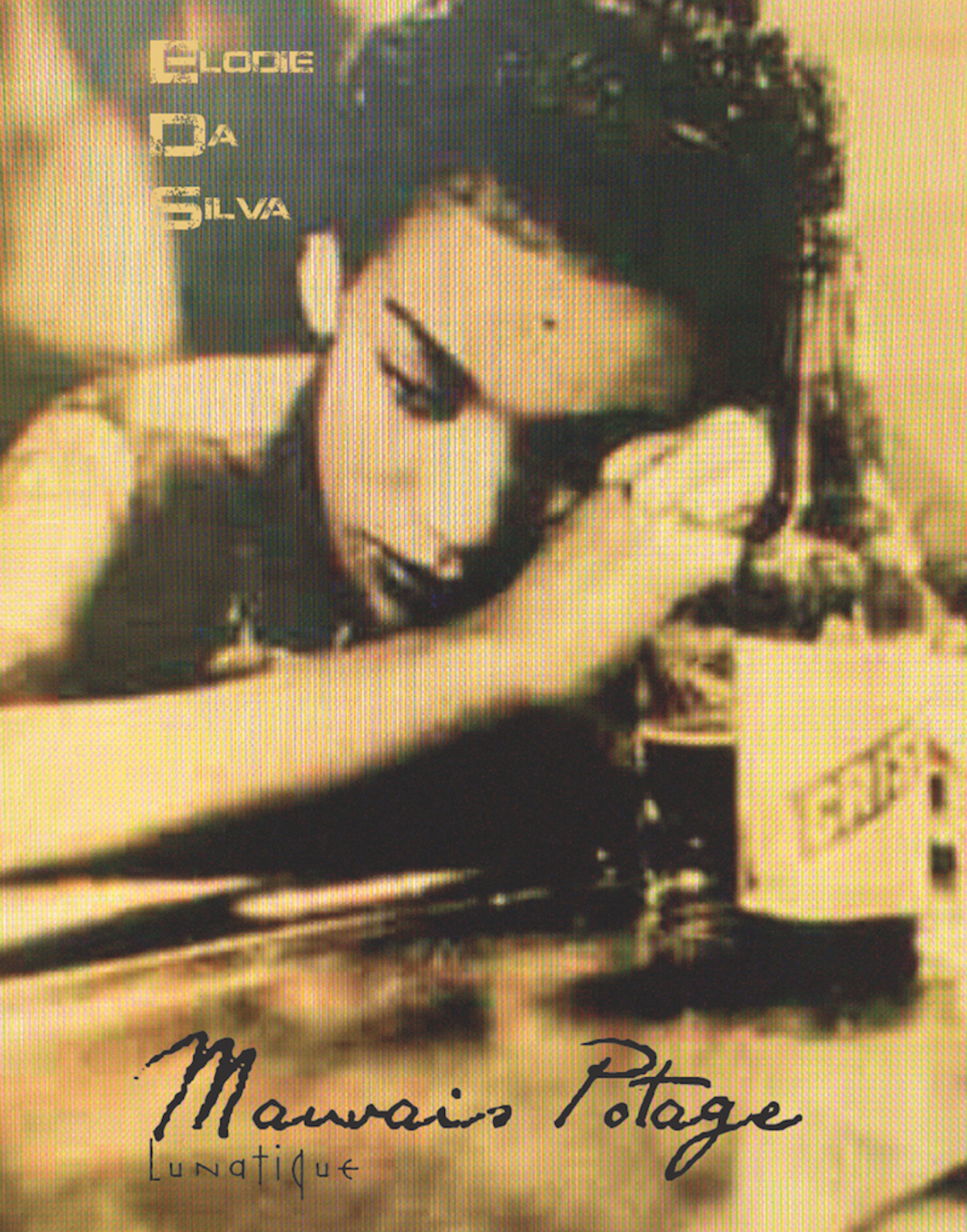 ebook cover of Mauvais Potage, by Elodie Da Silva