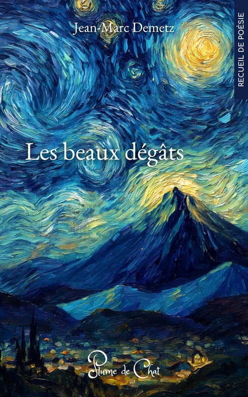 Couverture ebook de Les beaux dégâts, de Jean-Marc Demetz