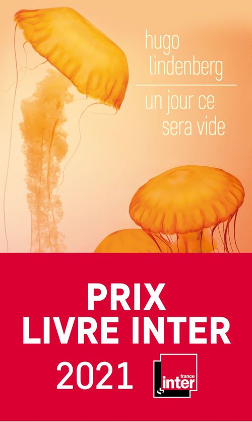 ebook cover of Un jour ce sera vide, by Hugo Lindenberg