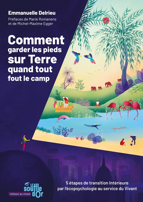 ebook cover of Comment garder les pieds sur Terre quand tout fout le camp, by Emmanuelle Delrieu