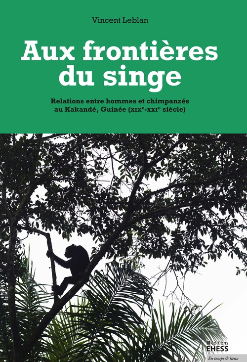 ebook cover of Aux frontières du singe, by Vincent Leblan