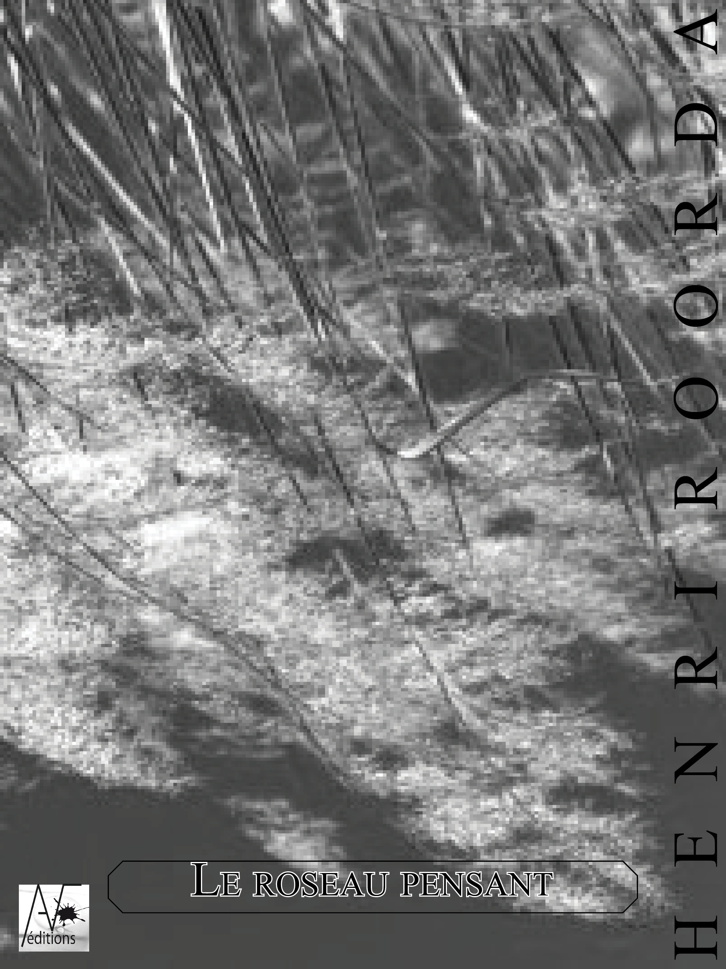 ebook cover of Le Roseau pensant, by Henri Roorda