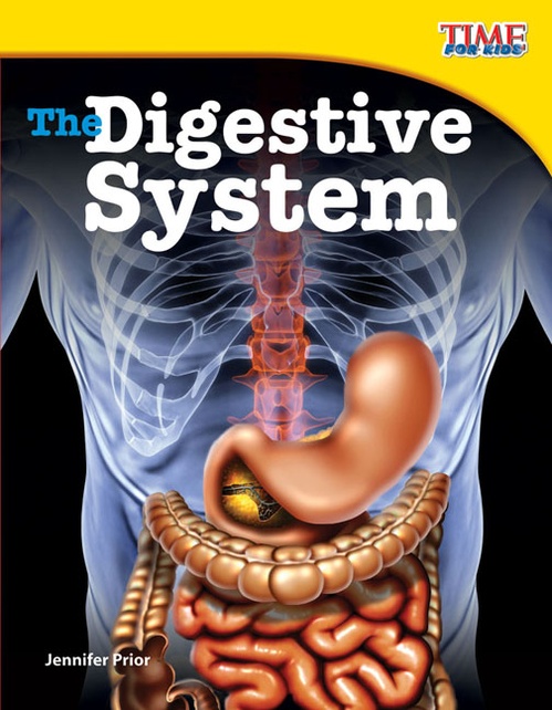 Couverture ebook de The Digestive System, de Jennifer Prior