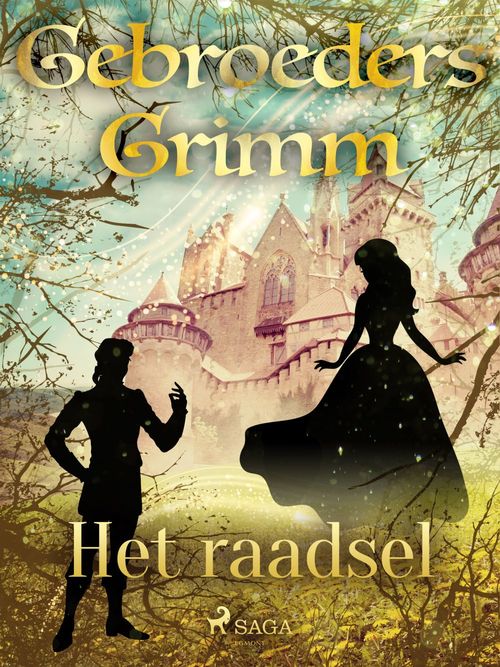 ebook cover of Het raadsel, by De Gebroeders Grimm
