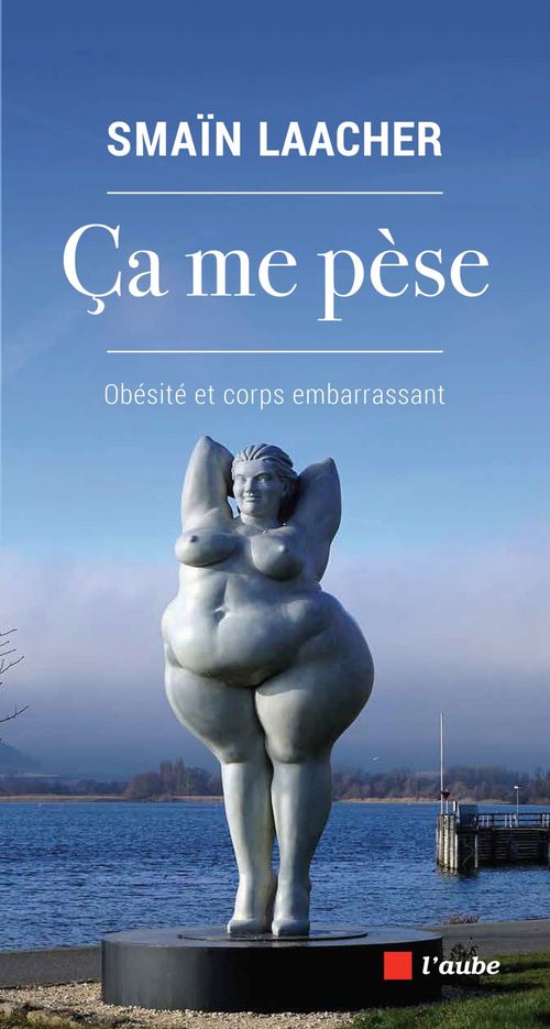 ebook cover of Ça me pèse, by Smaïn Laacher