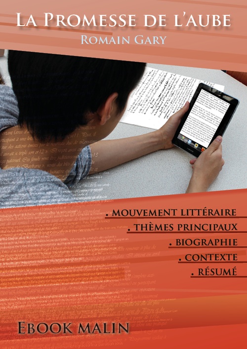 ebook cover of Fiche de lecture La Promesse de l'aube - Résumé détaillé et analyse littéraire de référence, by Romain Gary