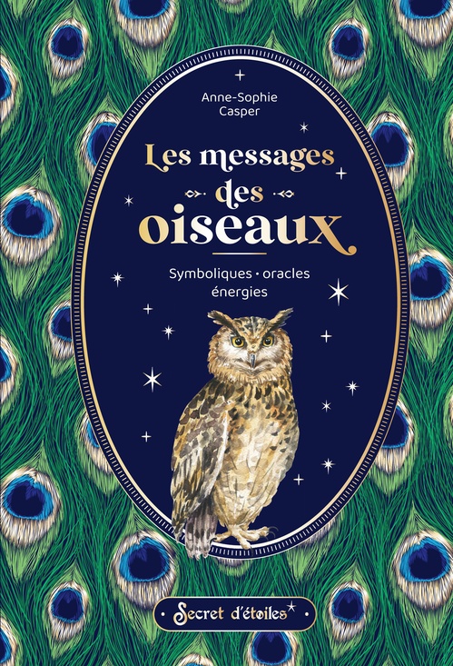 ebook cover of Les messages des oiseaux, by Anne-Sophie Casper