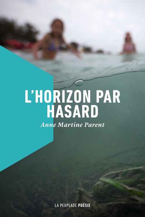 ebook cover of L'horizon par hasard, by Anne Martine Parent