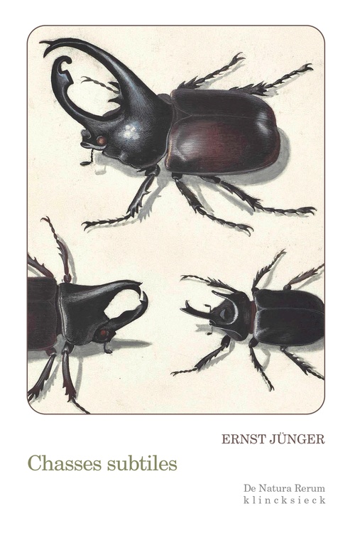 ebook cover of Chasses subtiles, by Ernst Jünger