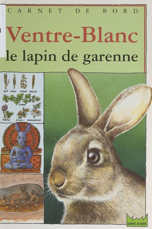 ebook cover of Ventre-Blanc, le lapin de garenne, by Louis Berry