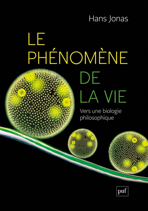 ebook cover of Le Phénomène de la vie : Vers une biologie philosophique, by Danielle Lories, Hans Jonas
