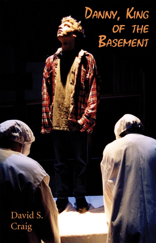 Couverture ebook de Danny, King of the Basement, de David S. Craig