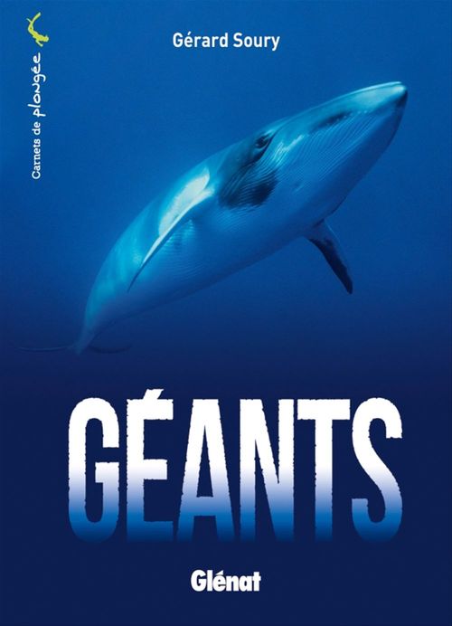 Couverture ebook de Géants, de Gérard Soury
