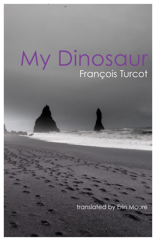 ebook cover of My Dinosaur, by François Turcot