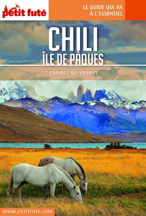 ebook cover of CHILI - ÎLE DE PÂQUES 2018 Carnet Petit Futé, by Collectif petit futé
