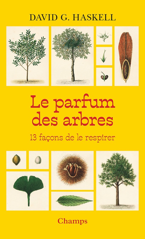 Couverture ebook de Le parfum des arbres. 13 façons de le respirer, de David G. Haskell, Valentine Plessy