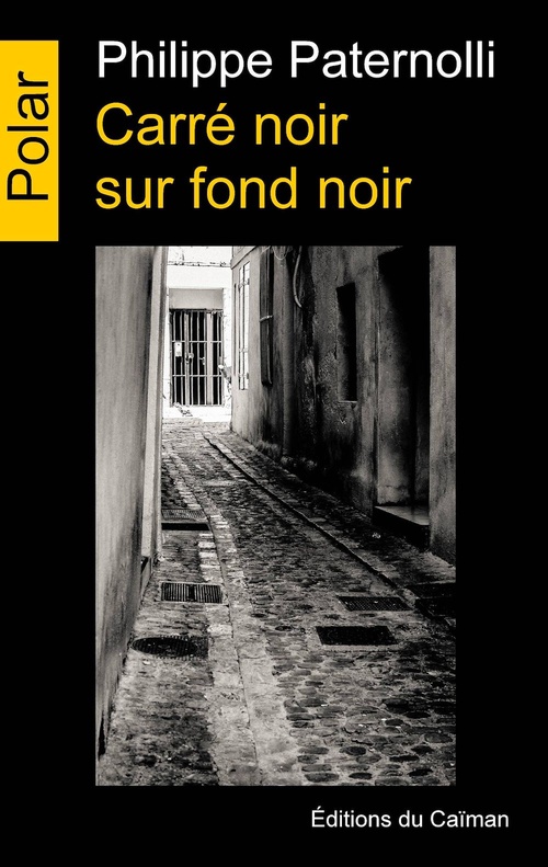 ebook cover of Carré noir sur fond noir, by Philippe Paternolli