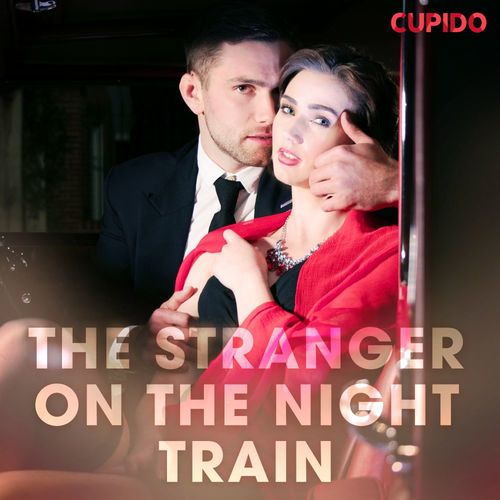 audiobook cover of The Stranger on the Night Train, by Cupido And Others
