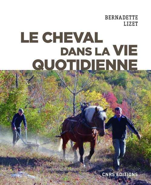 ebook cover of Le cheval dans la vie quotidienne, by Bernadette Lizet
