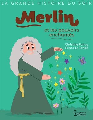 ebook cover of Merlin et les pouvoirs enchantés, by Christine Palluy
