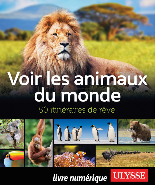 Couverture ebook de Voir les animaux du monde - 50 itinéraires de rêve, de Ariane Arpin-Delorme