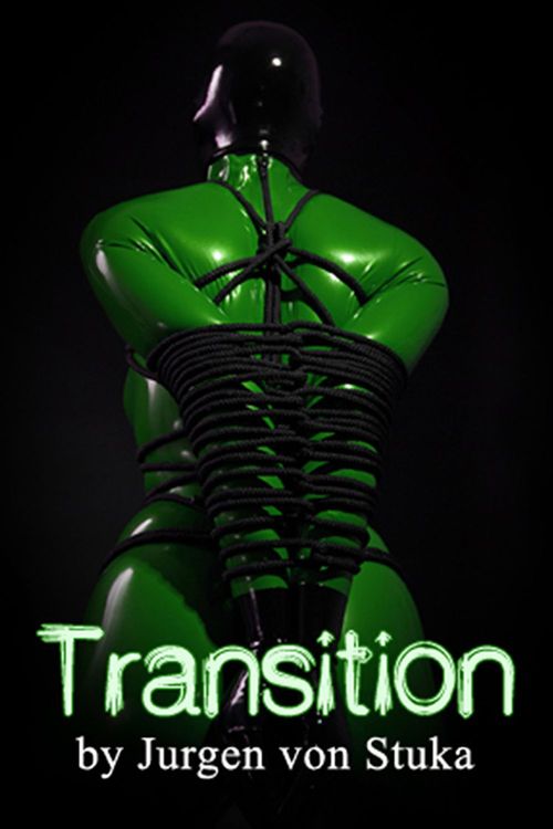 ebook cover of Transition, by Jurgen Von Stuka