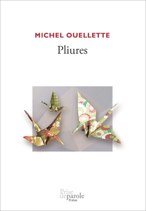 Couverture ebook de Pliures, de Ouellette Michel