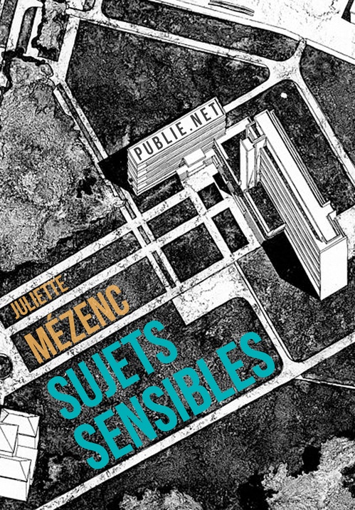 ebook cover of Sujets sensibles, by Juliette Mezenc