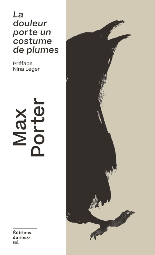 ebook cover of La douleur porte un costume de plumes, by Max Porter