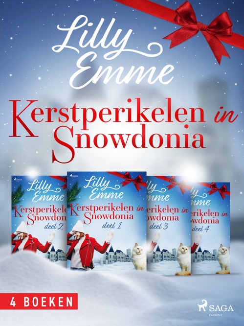 ebook cover of Kerstperikelen in Snowdonia, by Lilly Emme